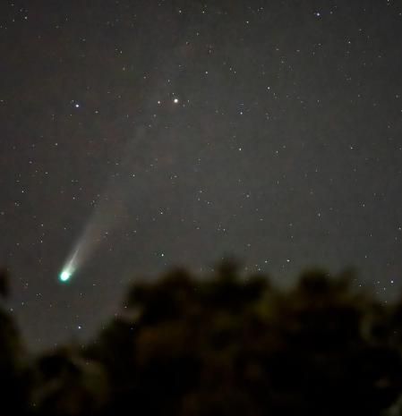 La larga cola del cometa Lemmon.