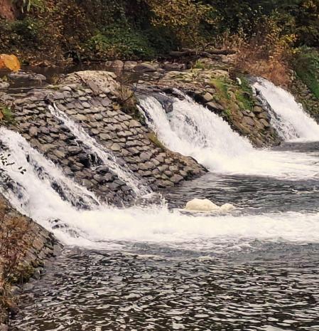 El Freser en Ripoll.