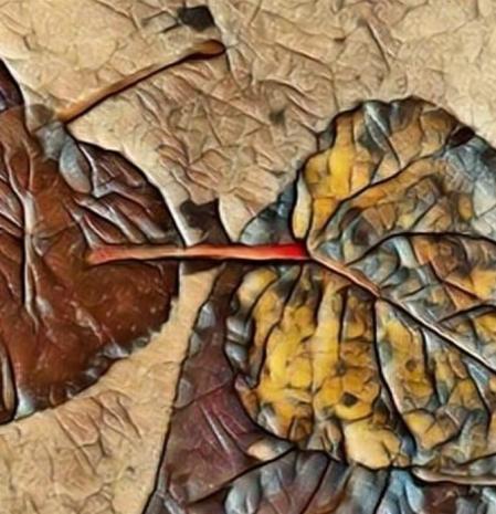 La poesía visual de las hojas del otoño.