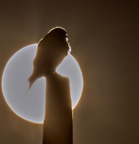 El cernícalo coronado por el sol.