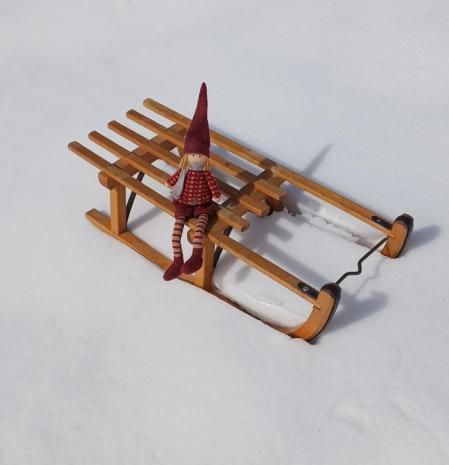 En trineo por el Coll de la Creueta.