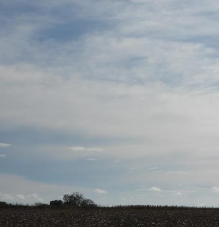 Paisaje del Urgell en los alrededores de Altet.