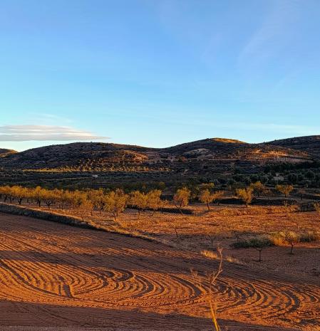 Los campos duermen en diciembre en Alcorisa.