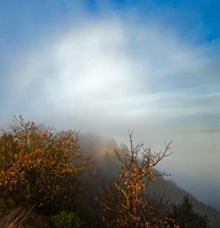 Arco de niebla con espectro de Brocken en Els Munts.