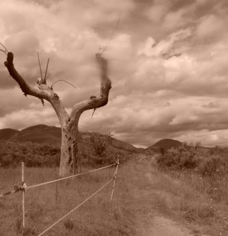 Dramatismo en el paisaje de El Bierzo.