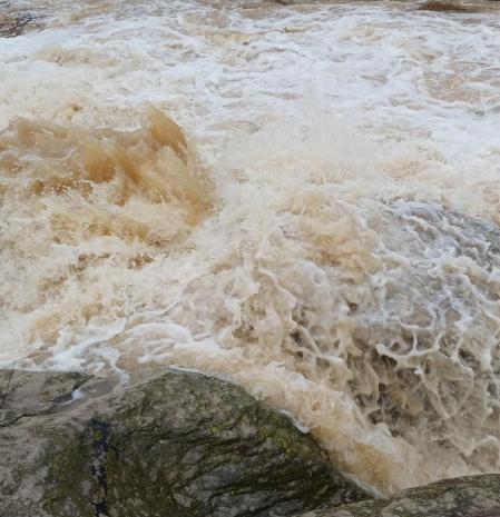 El Cardener baja revuelto en Manresa.