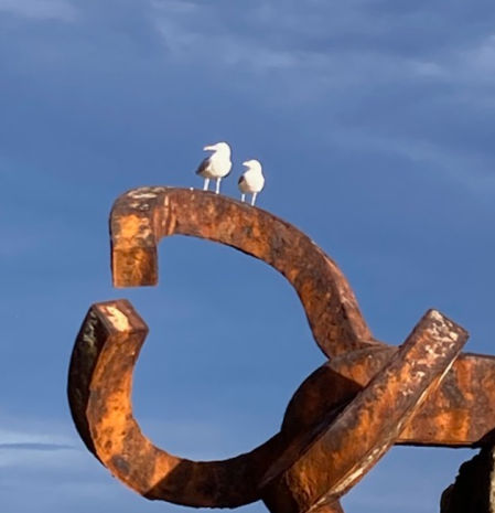 Las gaviotas del Peine del Viento.