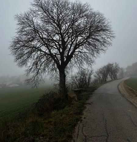 El camino de la niebla en Solsona.