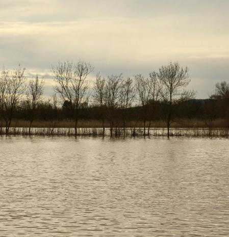 Rastro de campos inundados en el Baix Empordà.