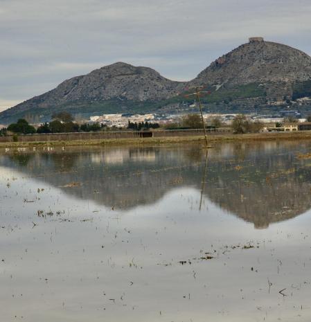 Reflejos en los campos inundados de Torroella de Montgrí.