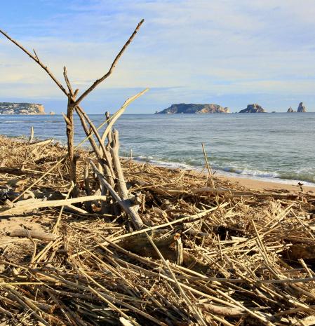 Restos arrastrados por la mala mar en la playa de la Fonollera.