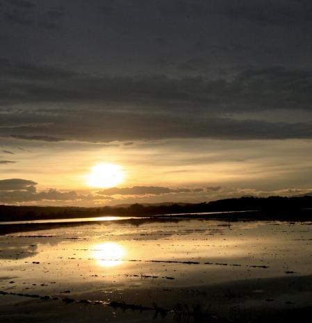 Juego de espejos en el Estany de Pals.