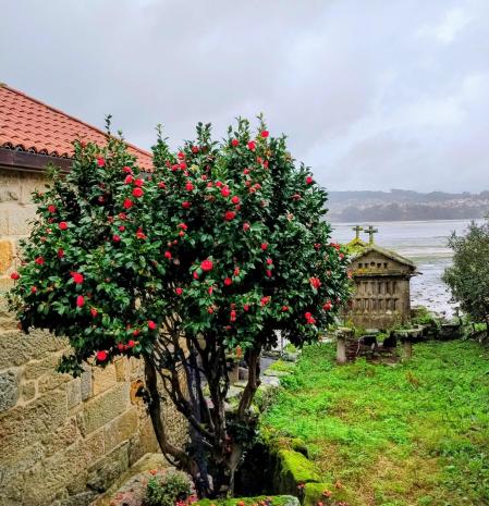Rincón con encanto en Combarro.