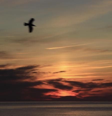 El pilar solar de Calella de Palafrugell.