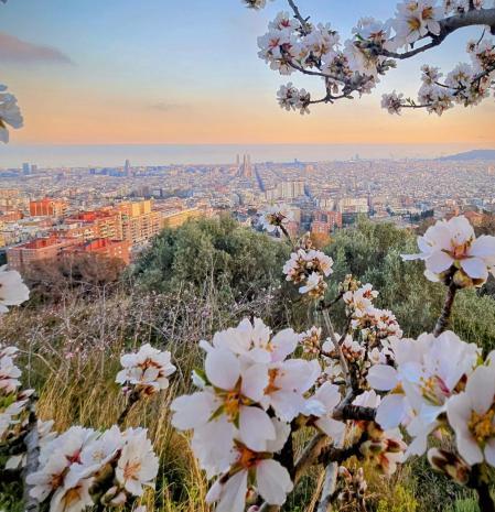 Barcelona desde el Turó del Carmel.