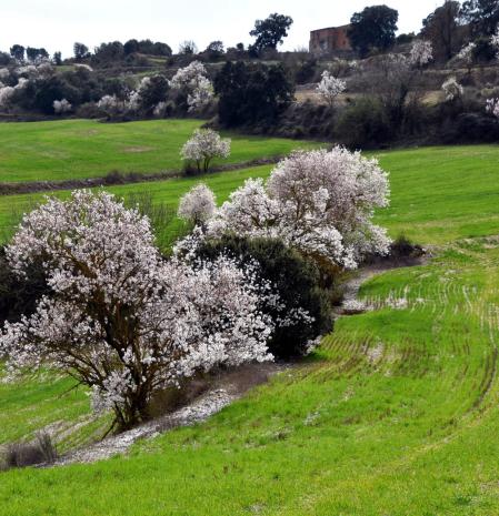 El lucido paisaje de Rubinat.