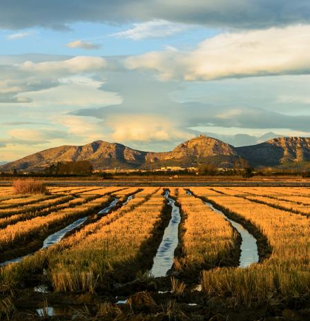 ruta enogastronómica
