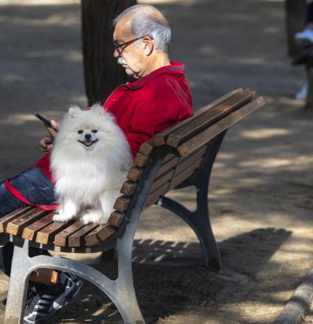 Un hombre descansa junto a su perro en un banco de un parque público de l'Hospitalet