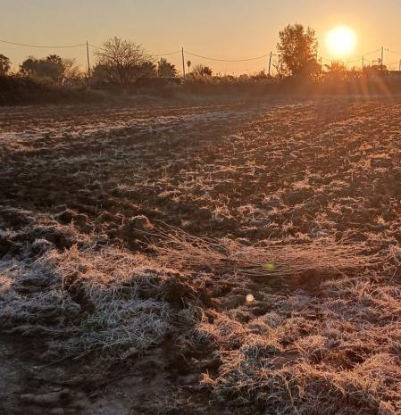 Campos helados en Gavà.