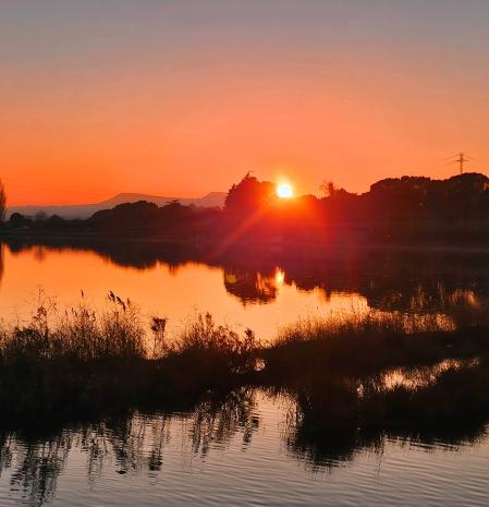 Parc de l'Agulla de Manresa