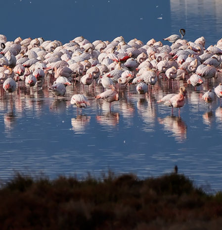El mirador de La Tancada.