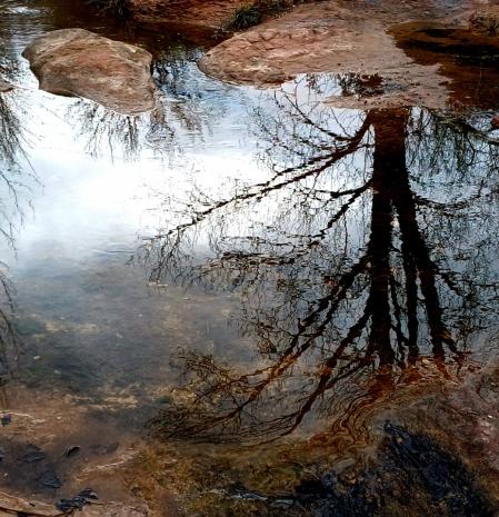 Reflejos en la riera de Mura.