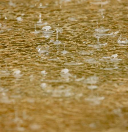 Burbujas generadas por las gotas de lluvia en Palafrugell.