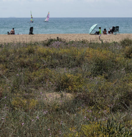 Primavera floral en la playa de Castelldefels.