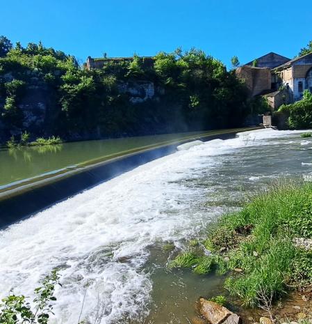 El río Ter se muestra lleno de vida esta primavera.