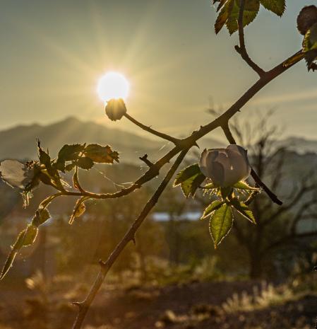 Amanecer en Sant Pere de Torelló.