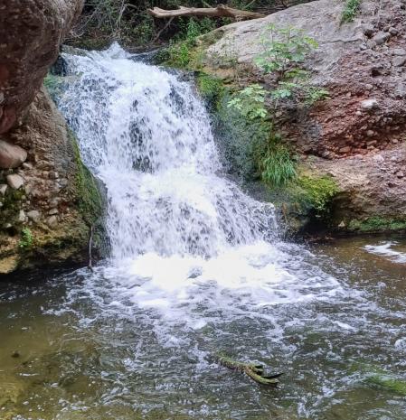 Salto de agua del Gorg del Riu Tenes.