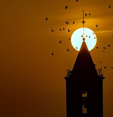 El potente sol de Sentfores.