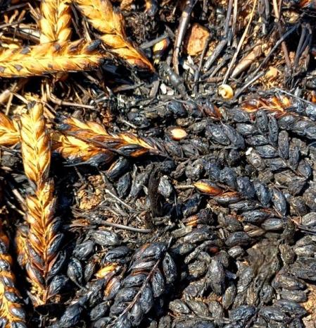 El rastro del incendio de Terrassa.