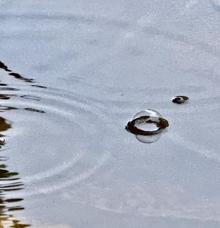 Charco en Palafrugell.