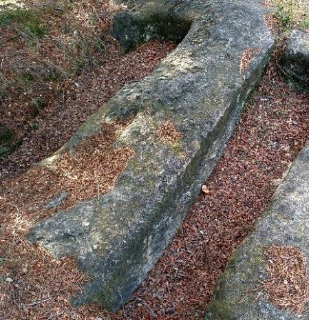 La necrópolis del mas Sitges.