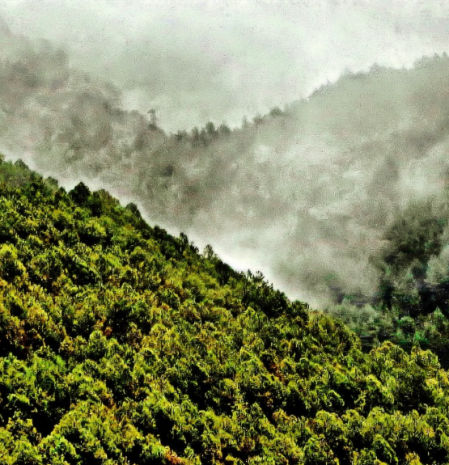 El frío otoño en el paisaje de Bagà.