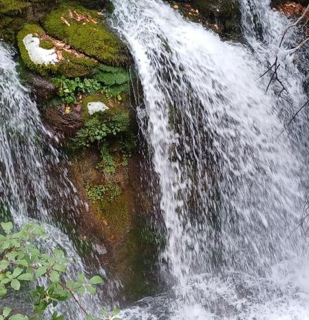 Fonts del Llobregat.