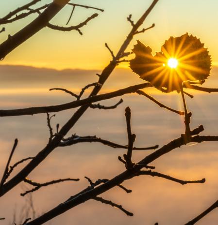 Paisaje de anticiclón en Santa Cecília de Voltregà.