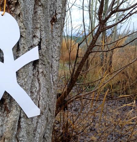 La llufa en el bosque en Manresa