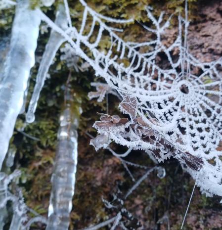 Carámbano y telaraña helada en la Riera de Mura.