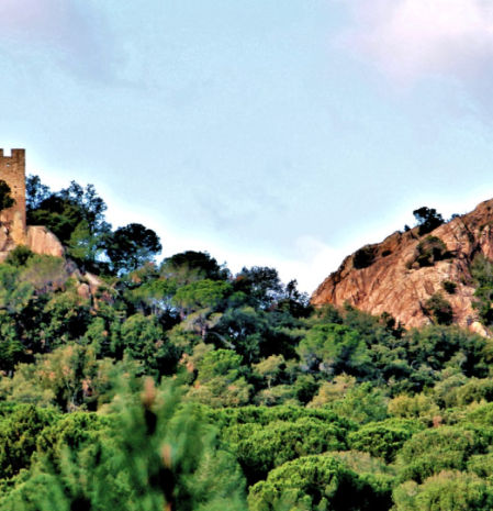 Castillo de Farners.