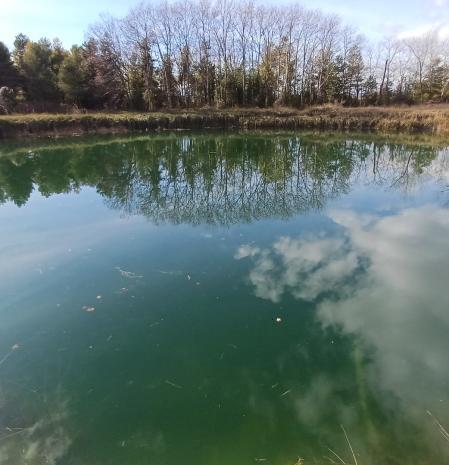 Las surgencias de Basturs.