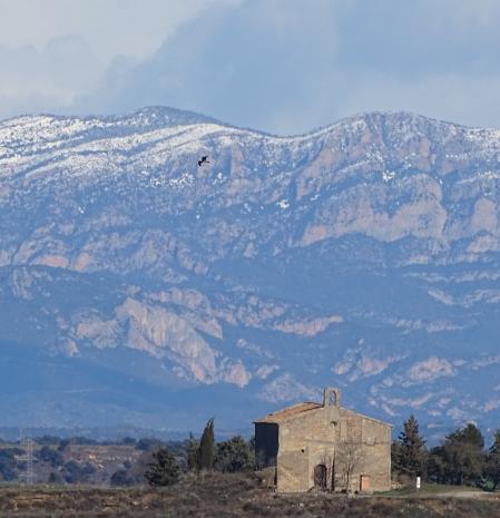 El Montsec salpicado de nieve visto desde Sant Julià de Tarroja de Segarra.
