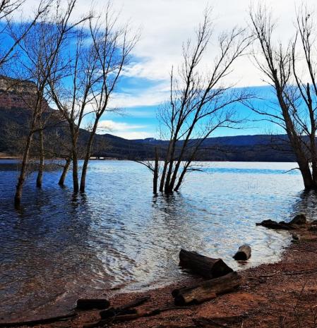 El bosque inundado del pantano de Sau.