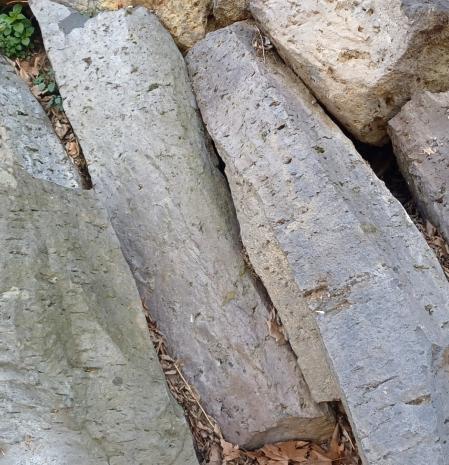 Las columnas de basalto de origen volcánico en Sant Joan les Fonts.