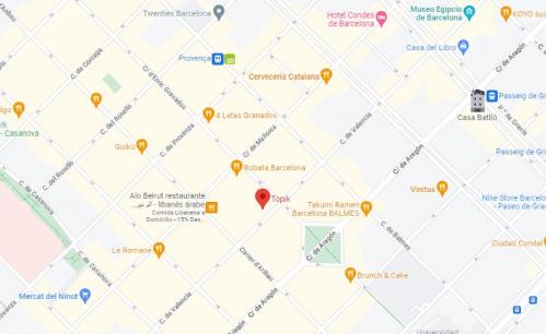 Topik, despliegue de productos y estilos