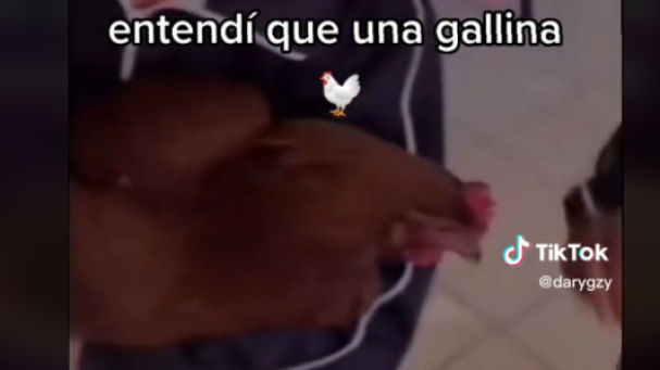 "¿Qué pedí?", pregunta reiteradamente el maestro a sus pequeños alumnos antes de mostrar el animal&nbsp;