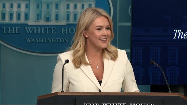 Elon Musk ataca al asesor comercial Peter Navarro y la Casa Blanca lo justifica con un "los chicos serán chicos"