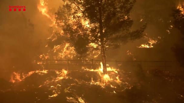 El viento alimenta el incendio en el Baix Ebre, que ya ha calcinado más de 2.300 hectáreas
