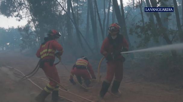 La tragedia de los incendios&nbsp;